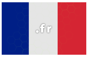 Contratación/renovación de dominio .fr 